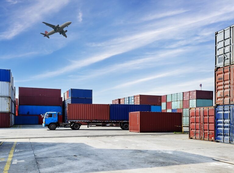 global docks shipper's export declaration in e-commerce